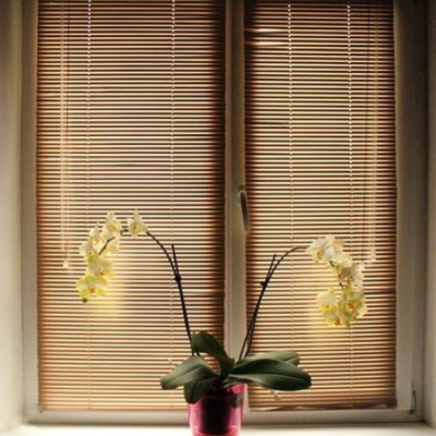 Clean-Blinds-nz